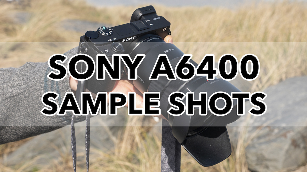 sony a6400 sample shots 2
